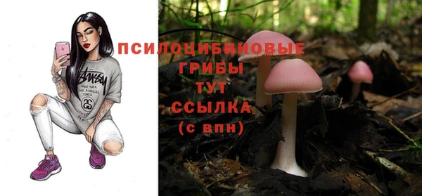твердый Алексин