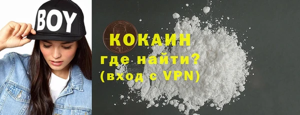 твердый Алексин