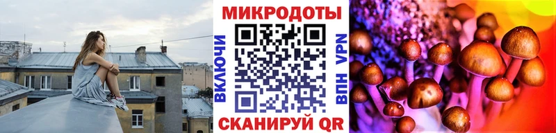 наркота  Кимры  Псилоцибиновые грибы прущие грибы 